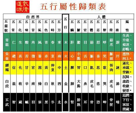 馬五行屬性|五行屬性查詢表